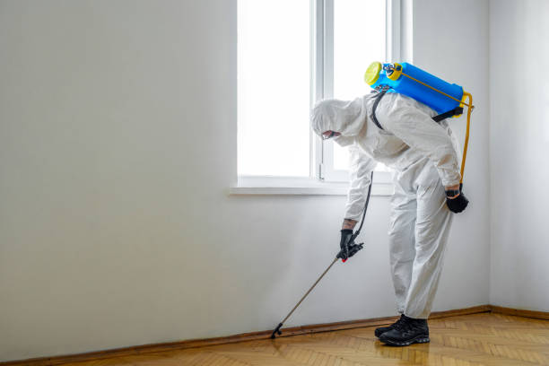 Best Pest Control Near Me  in Peabody, KS