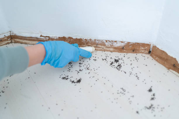 Best Pest Control for Businesses  in Peabody, KS